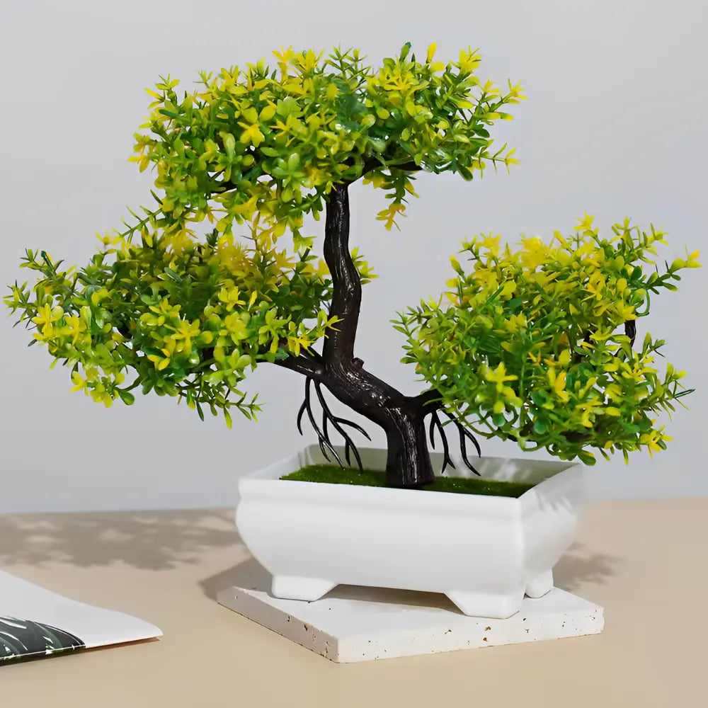 Bonsai Decorativo